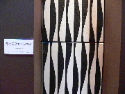 ViWA01